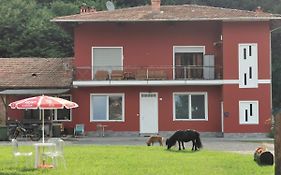 The Horse